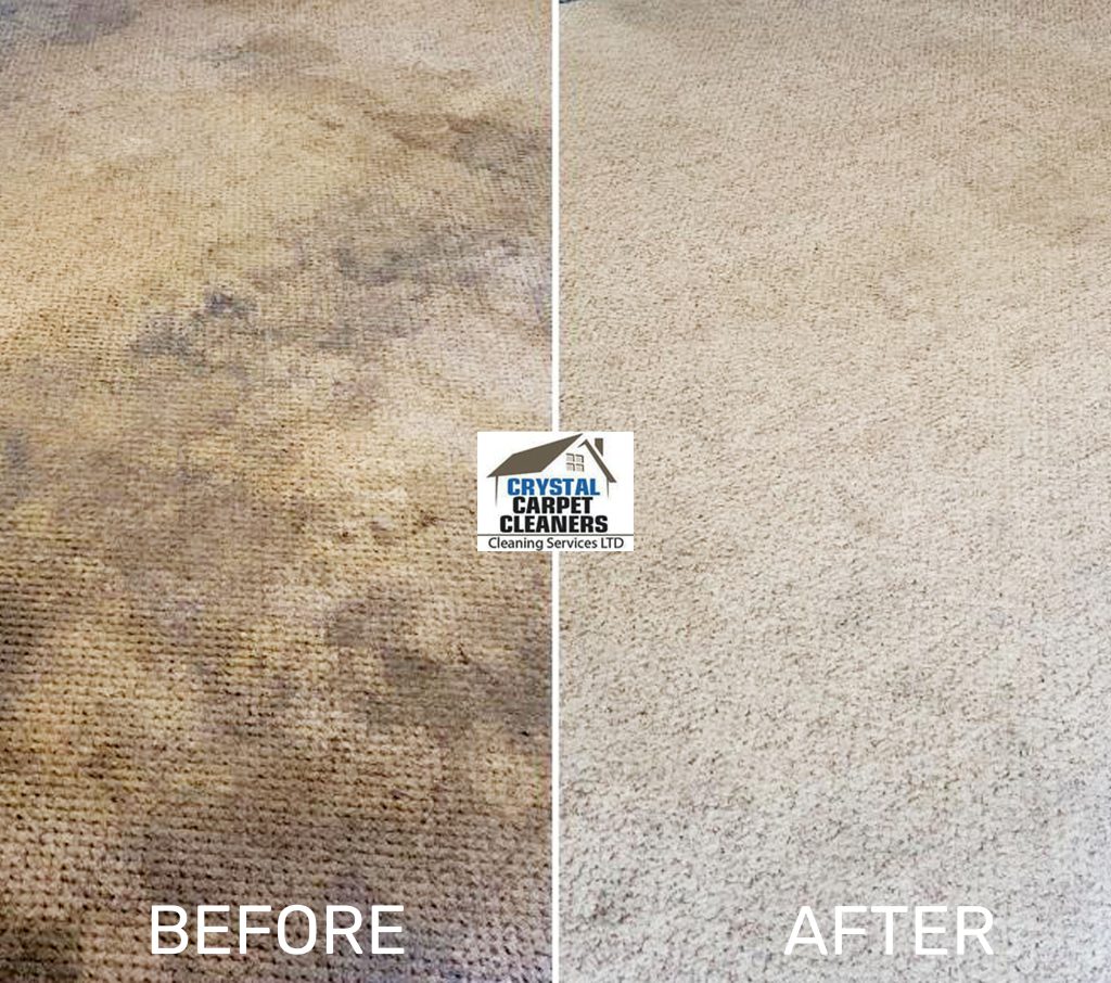 before after photo of carpet cleaning in watford