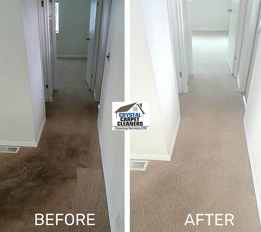 before and after photos of carpet cleaning in southgate by crystal carpet cleaners