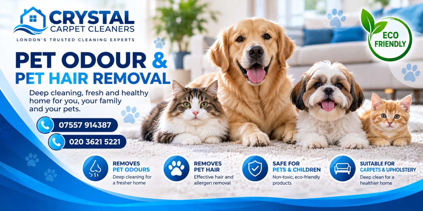 Pet and child safe carpet cleaning in London by Crystal Carpet Cleaners